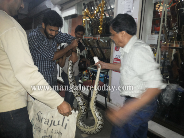 Python rescued in Mangalore